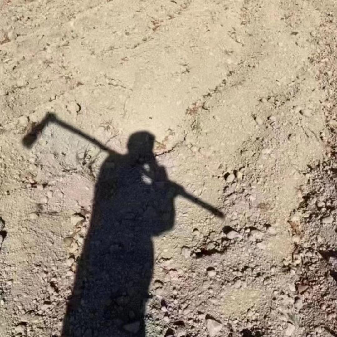 遗憾和她随风而去