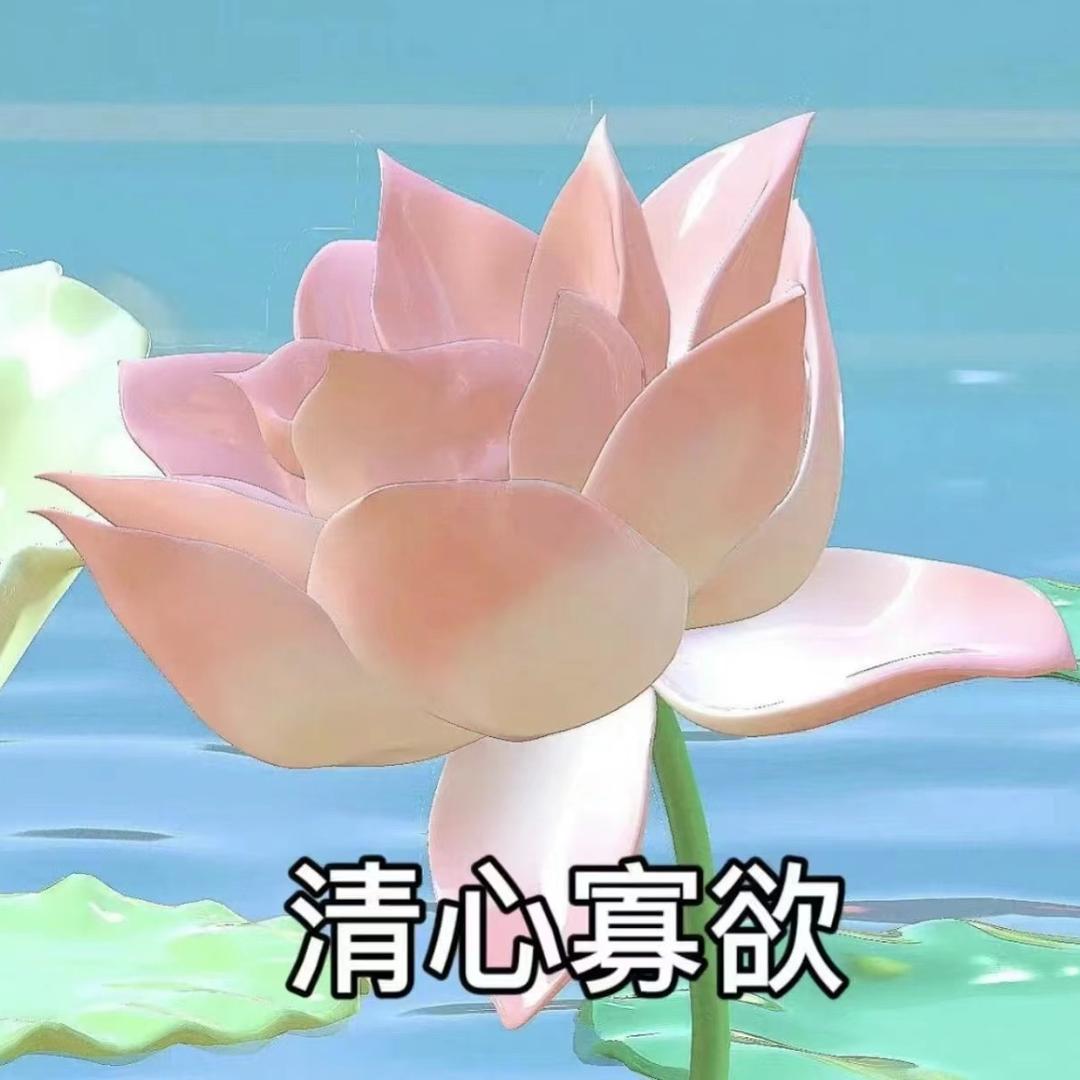 鸿鸿
