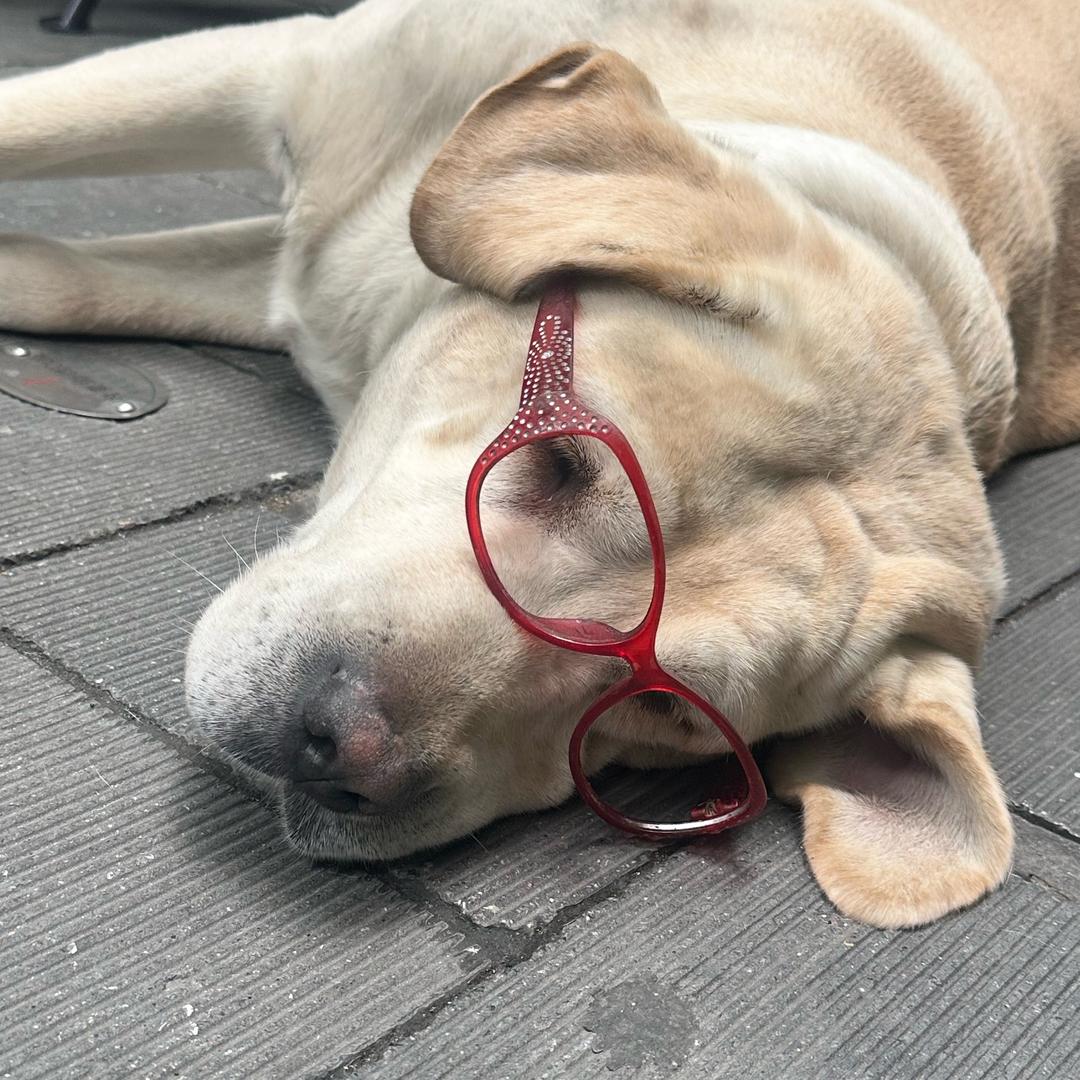 碗杂妹什么都发