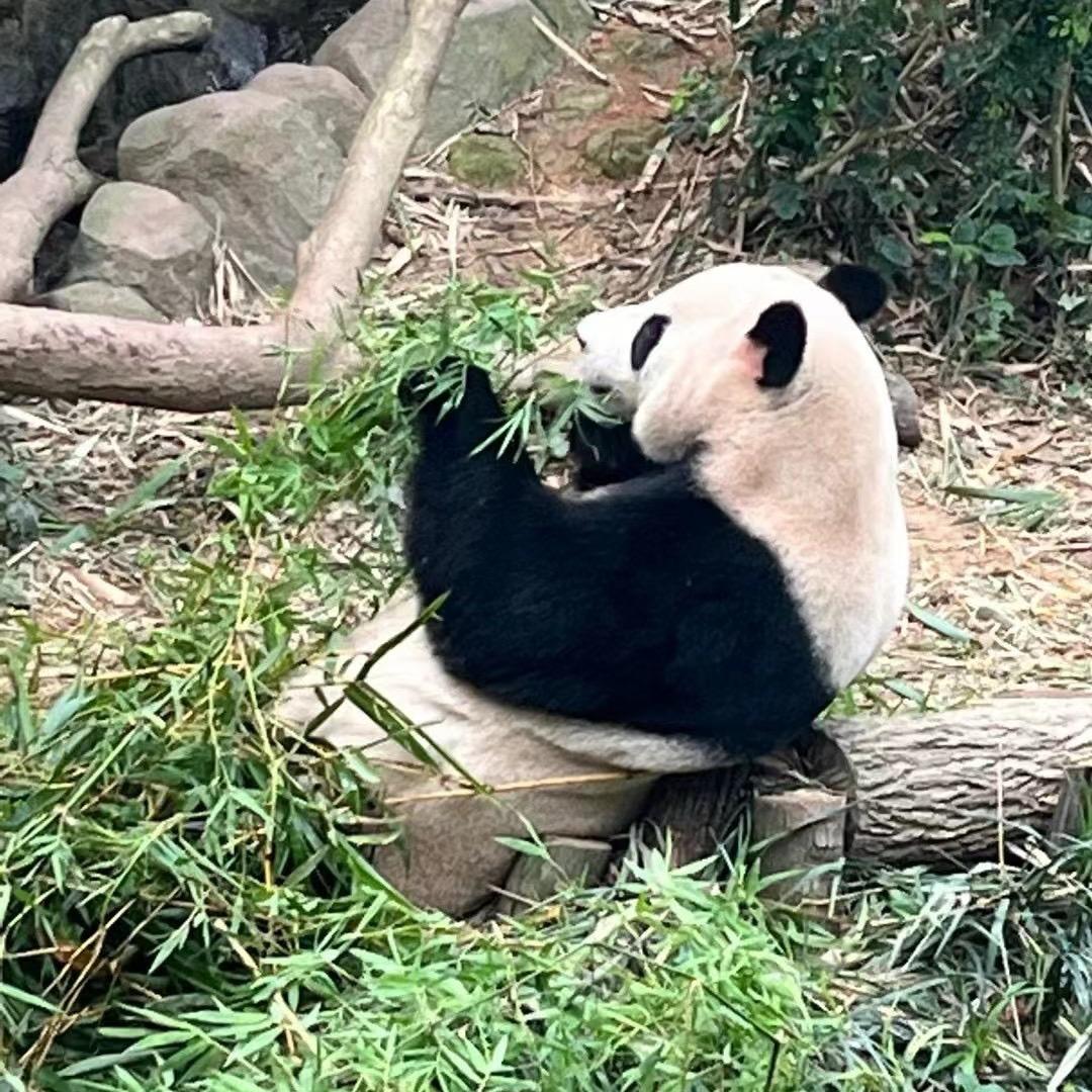 婉瑜