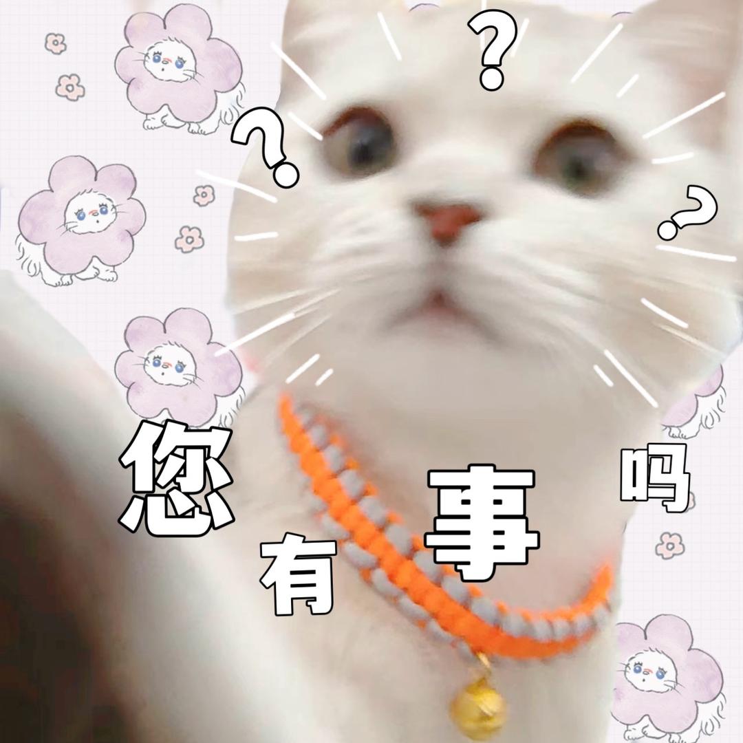 银耳红枣八宝🥣