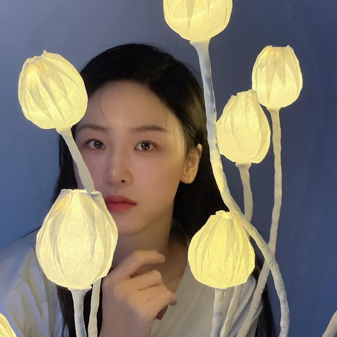 北瓜的瓜
