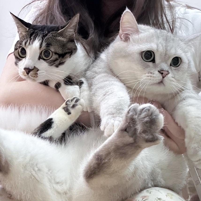 去码头整点薯条～