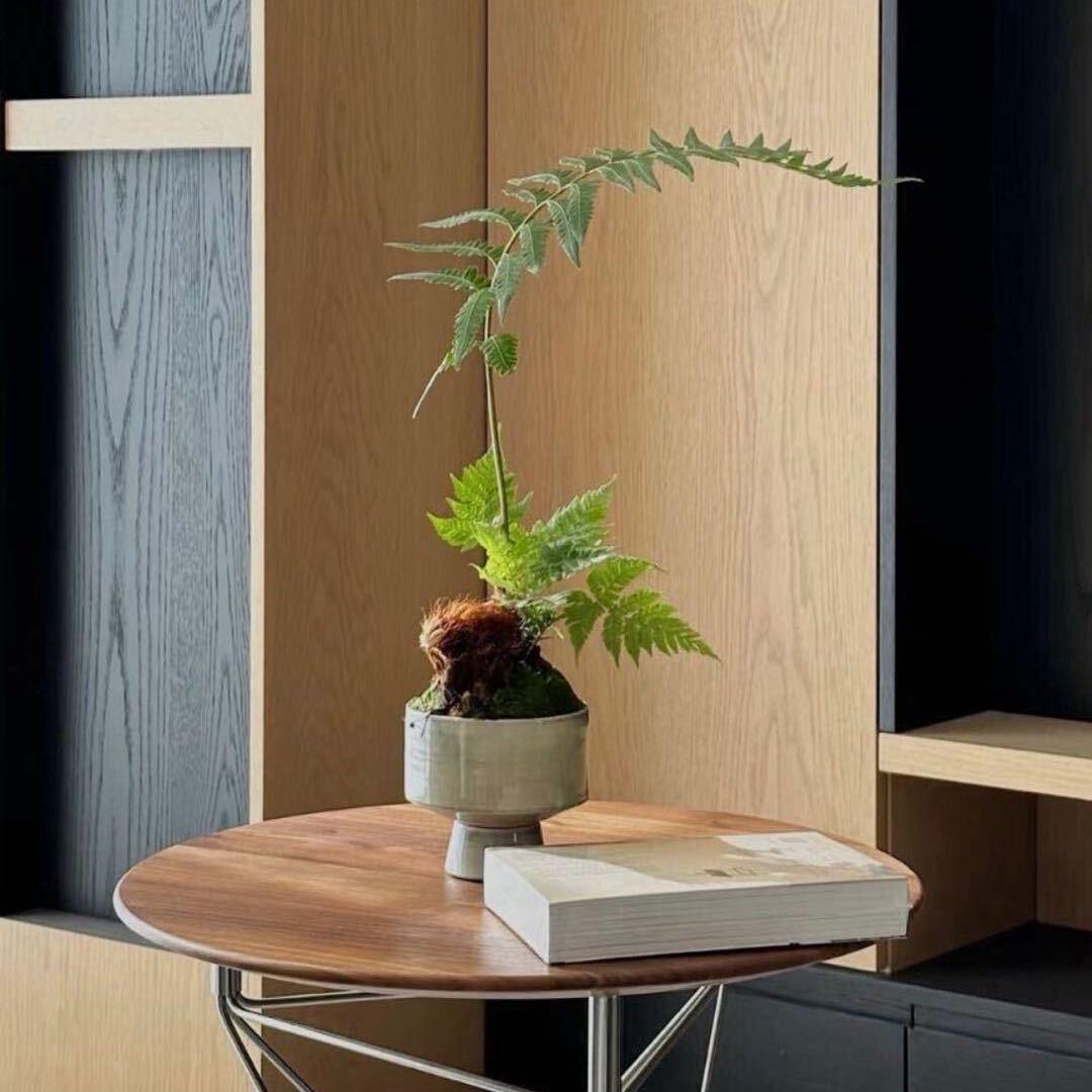 超凡装饰全案设计师-王阿娜