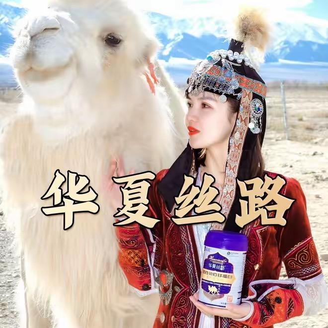华夏丝路滋补优选店