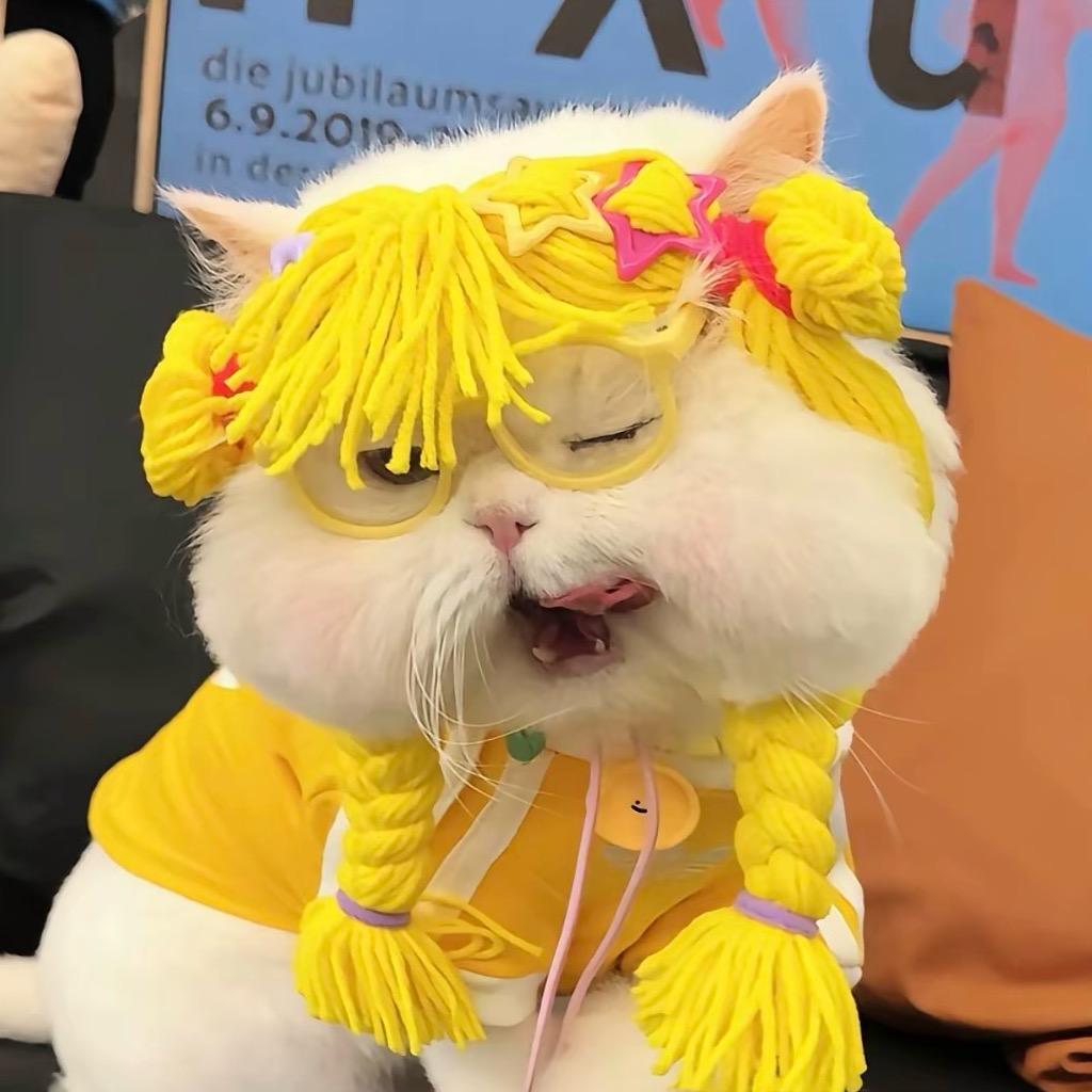 珍妮肥鱼