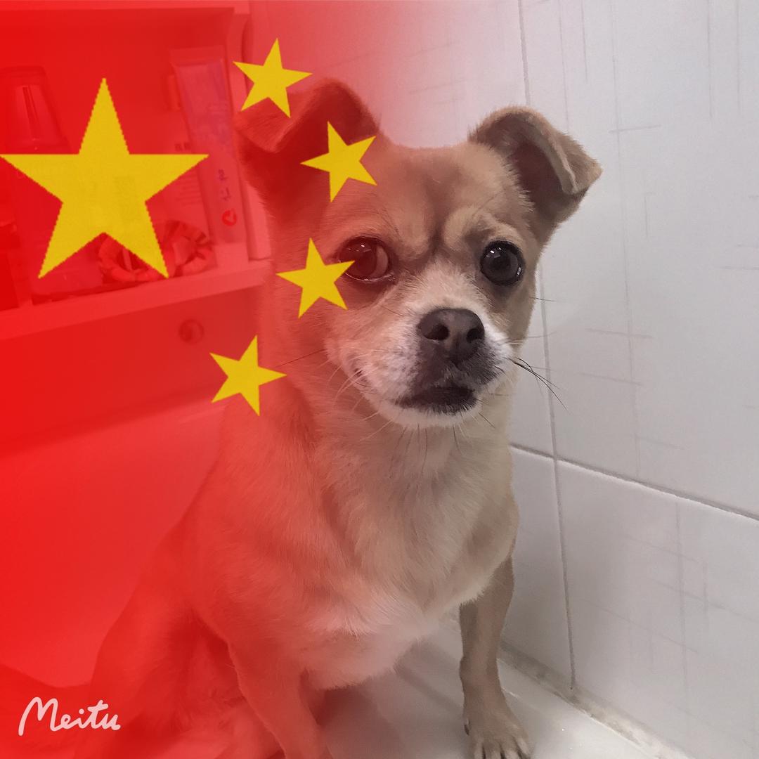 小宝🐶