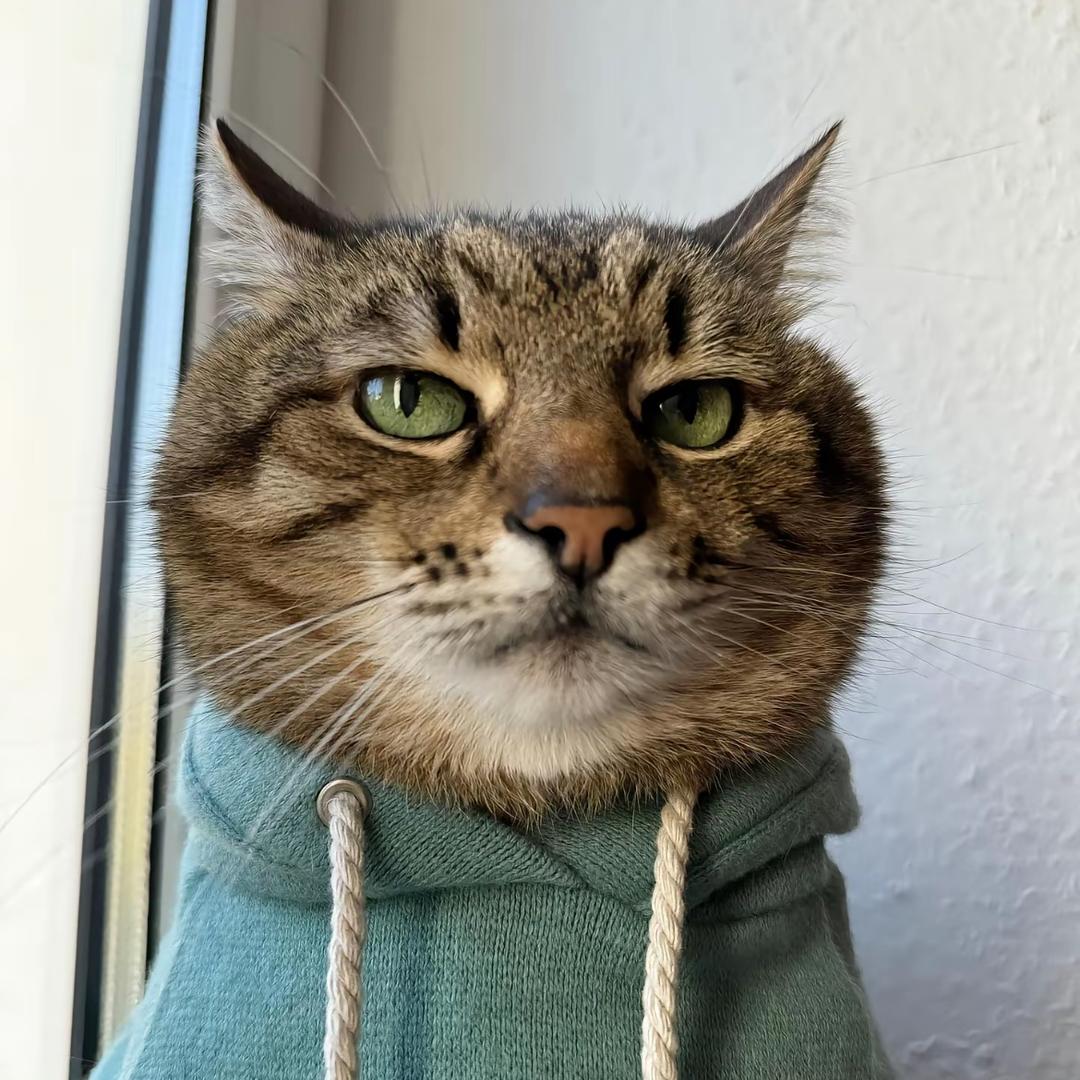 DJANGO