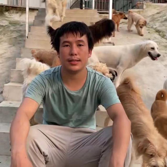 小徐和流浪狗