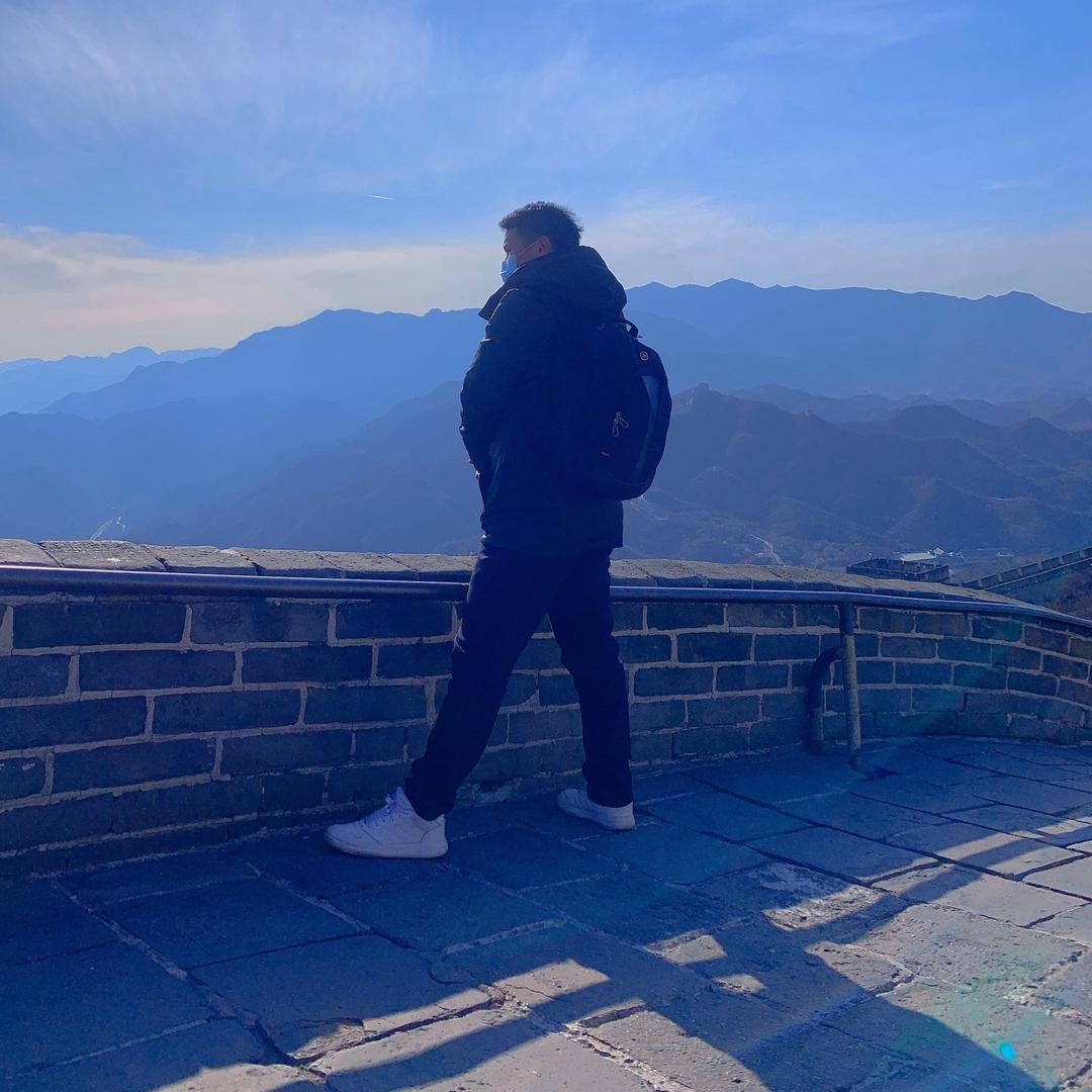 爱老虎油🐯
