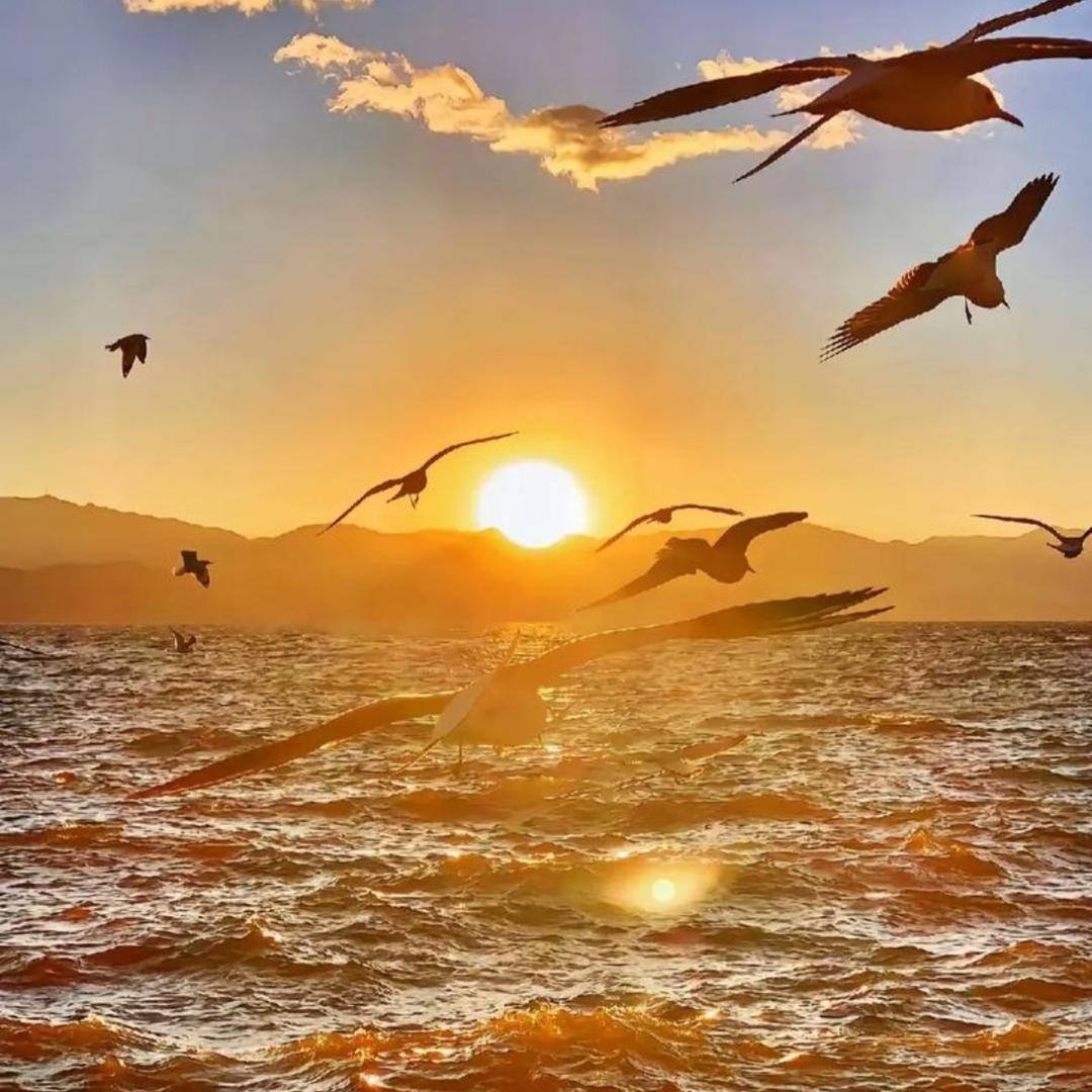 海洋