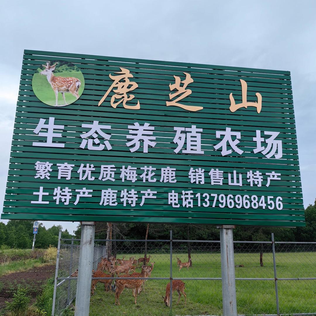 鹿芝山生态农场