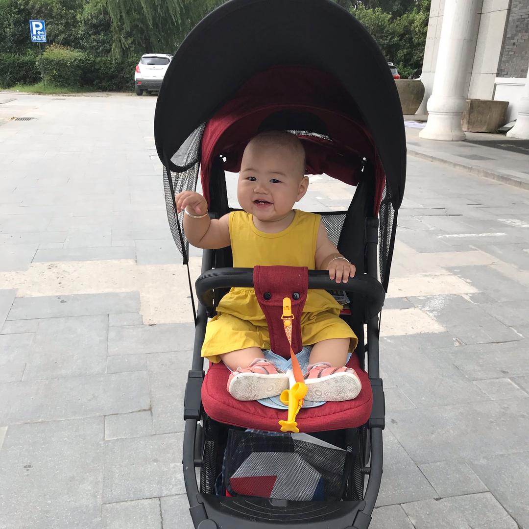 可爱的宝