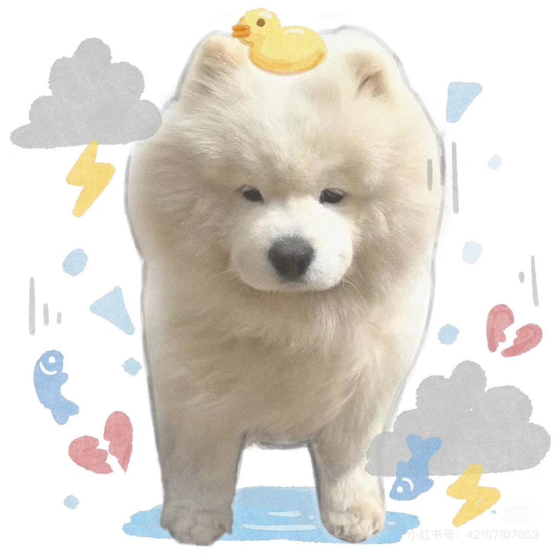 萨摩唉