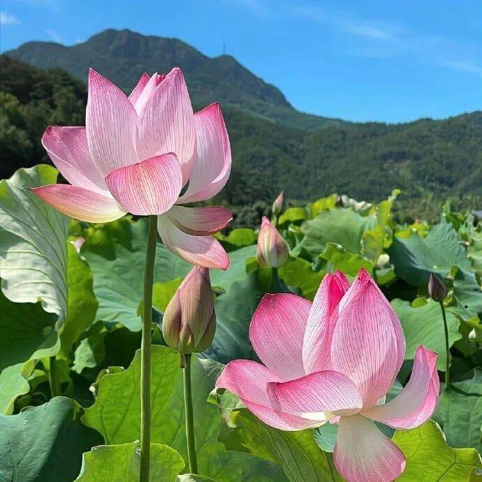 一心智慧说（百子湾店）