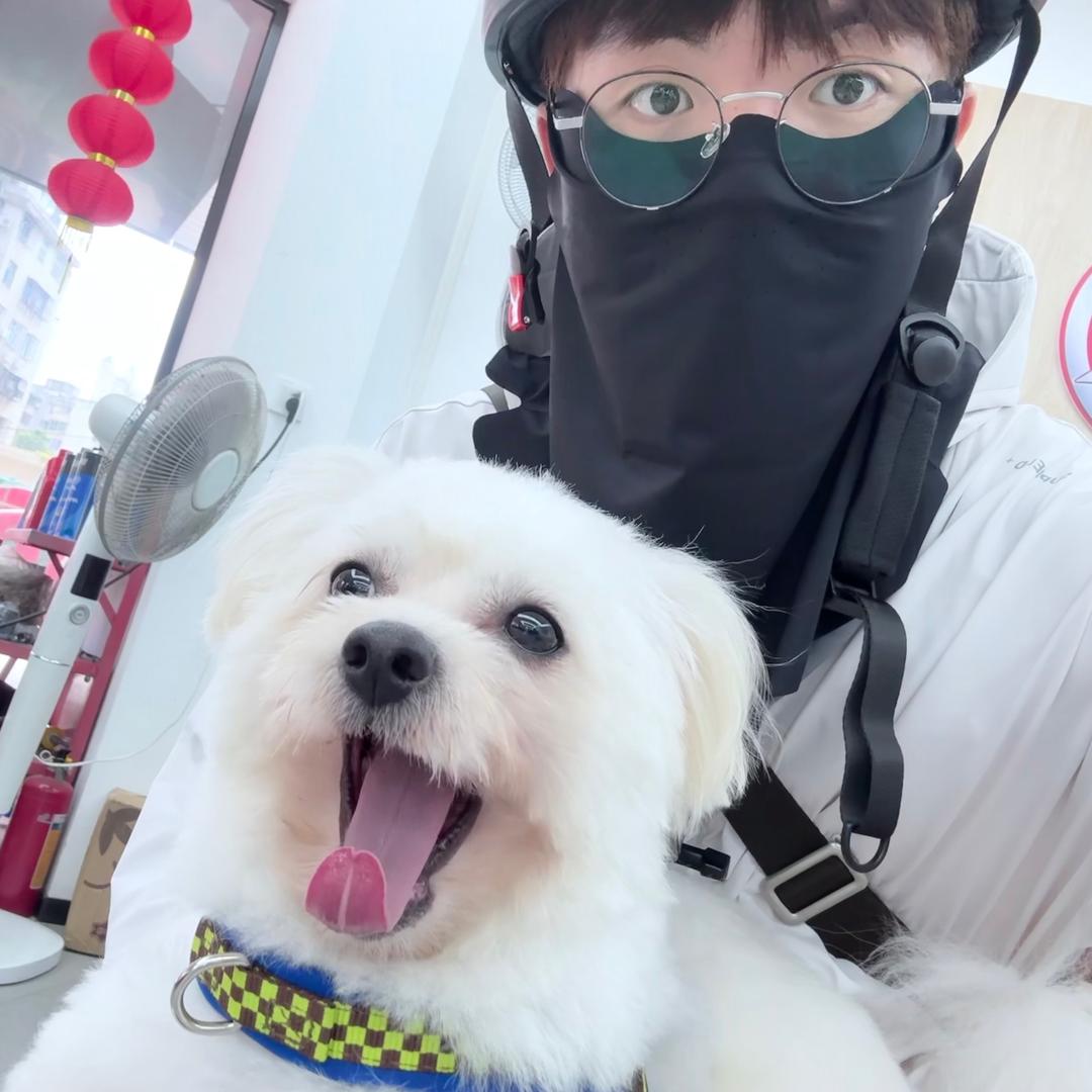 贪吃人12