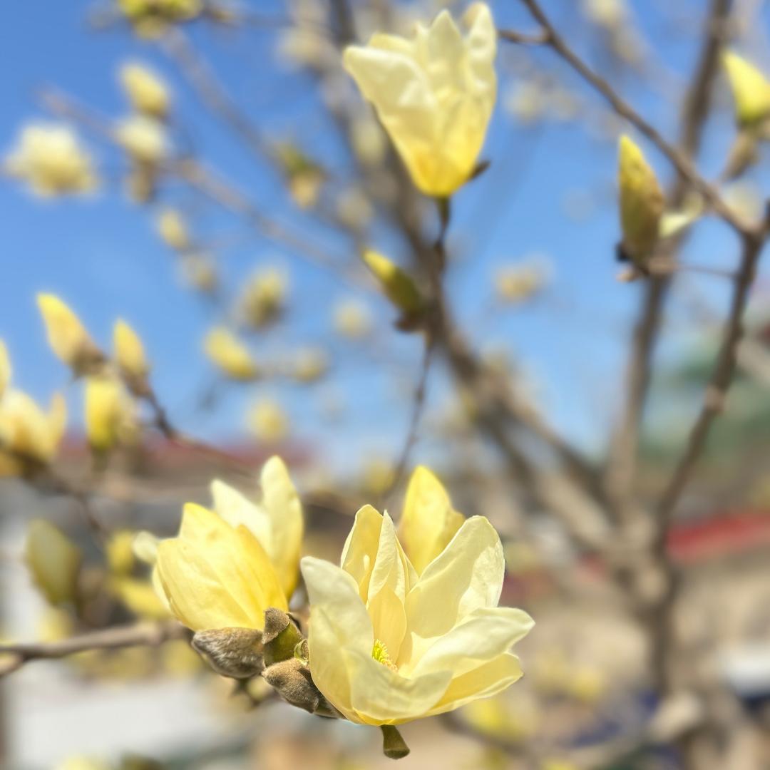 时间会留下最真的人