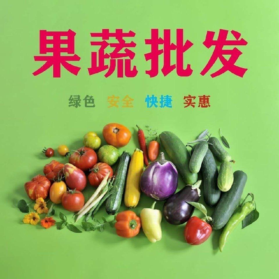 振雄蔬菜批发配送