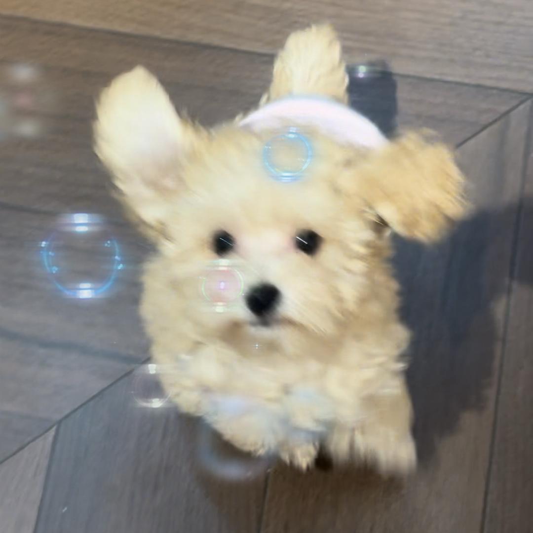 小孙嘻嘻