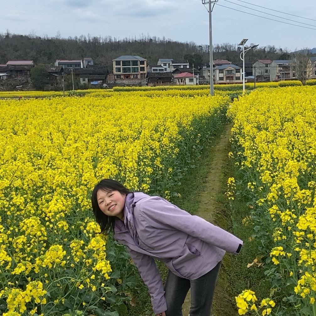 ☘️遥不可及🌻