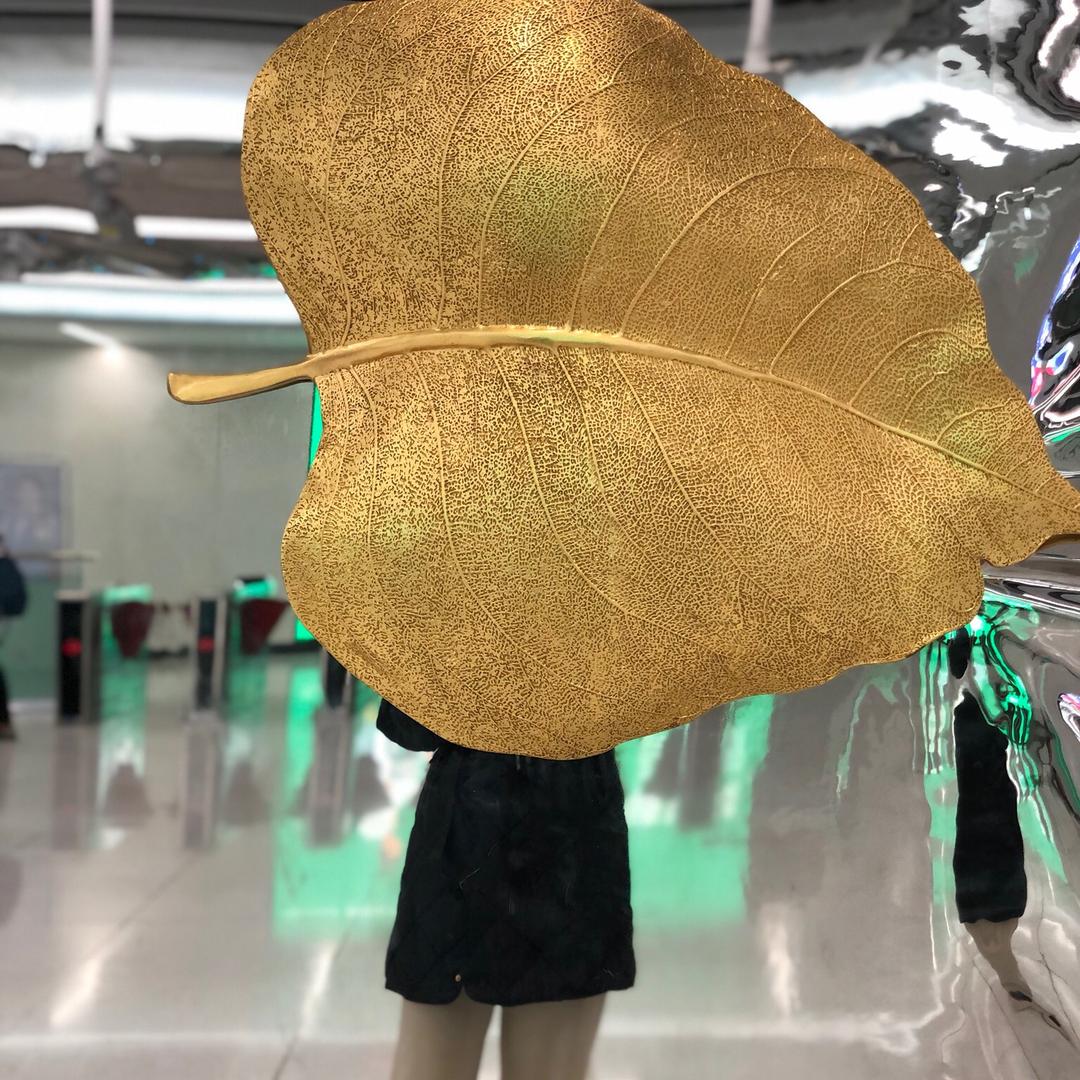 不二叶.🌱