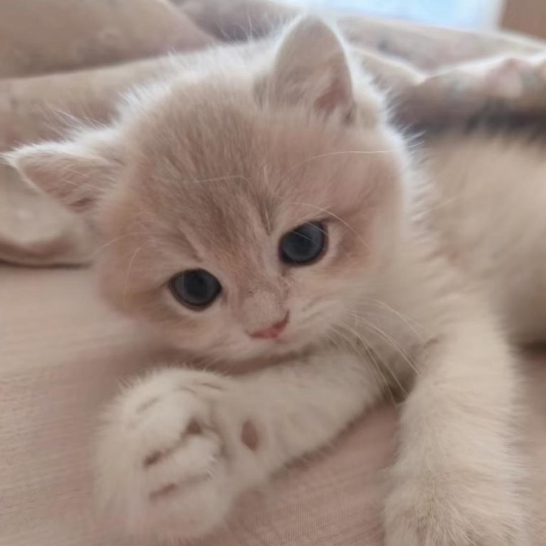 𝐌𝐢𝐧𝟗𝐚_ing