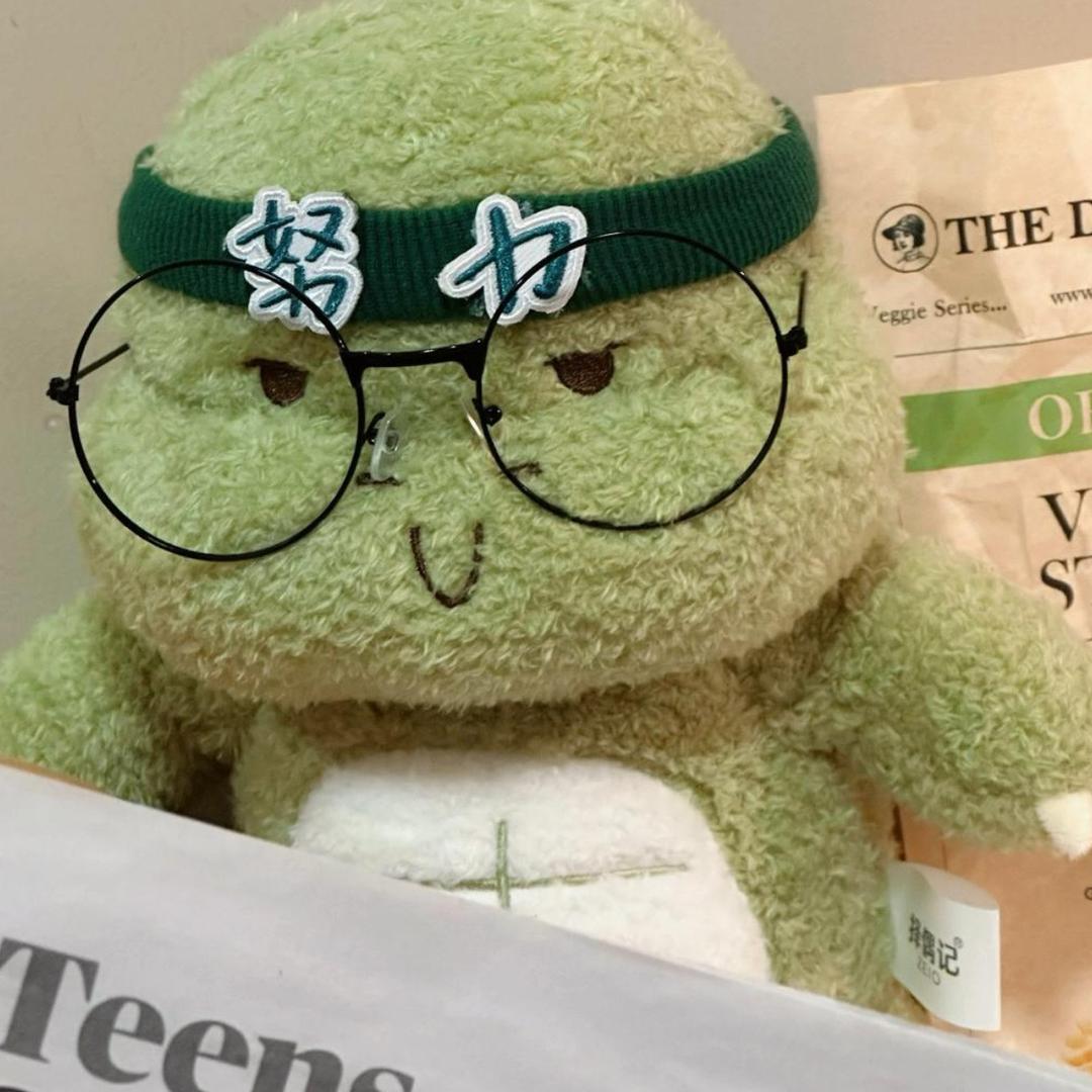 小赵的龟鳖