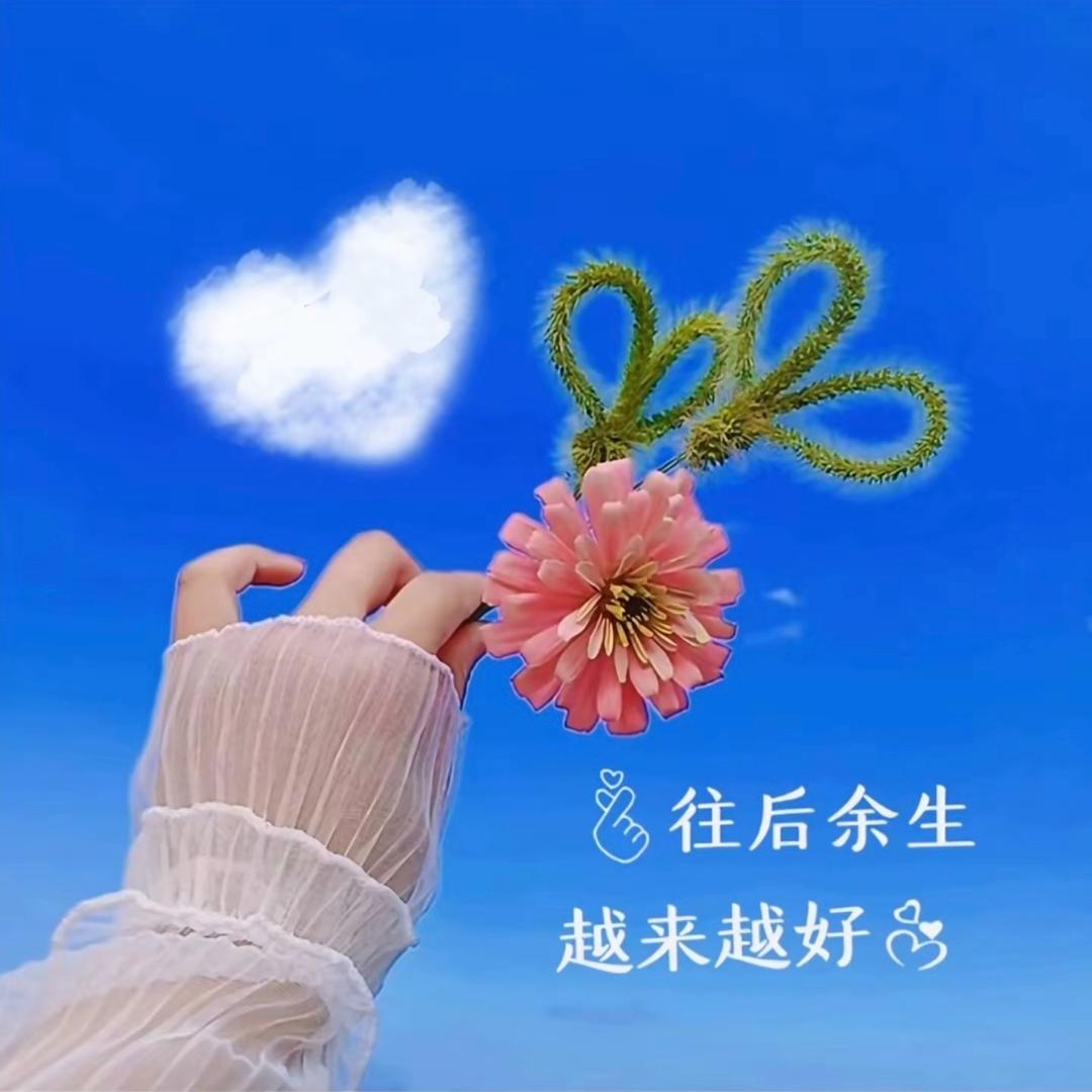 🍭🌷🐟🍓🪢QING