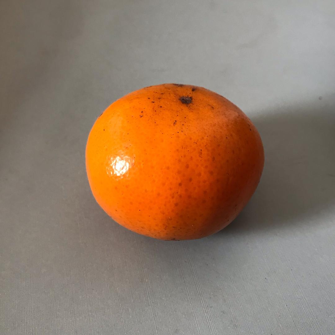 橙子🍊
