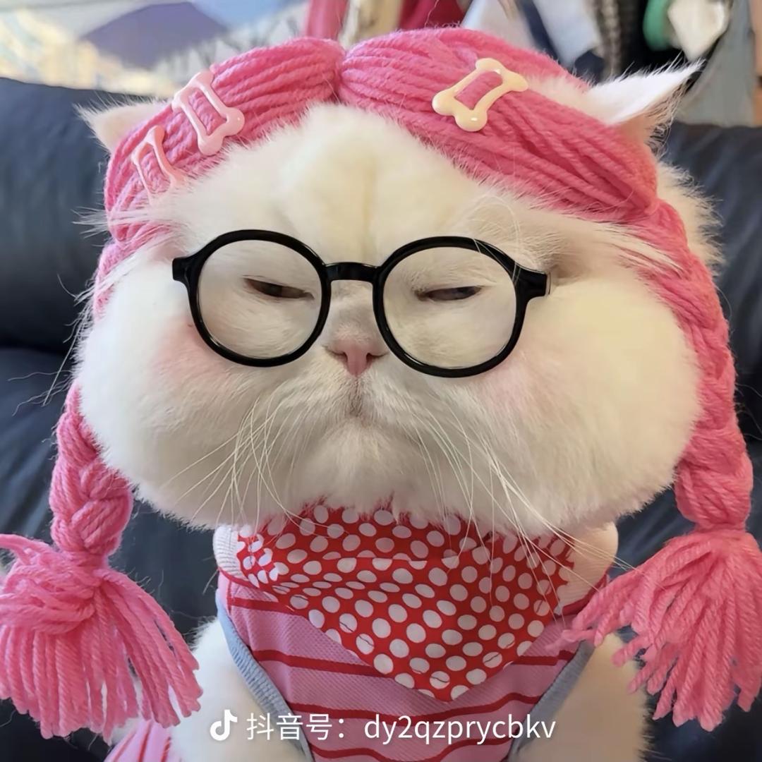 设计师~小墨