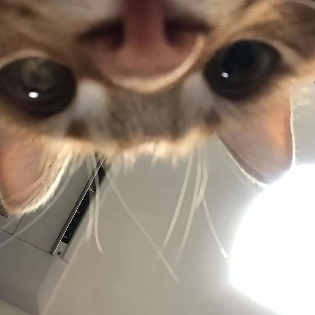 ^-^