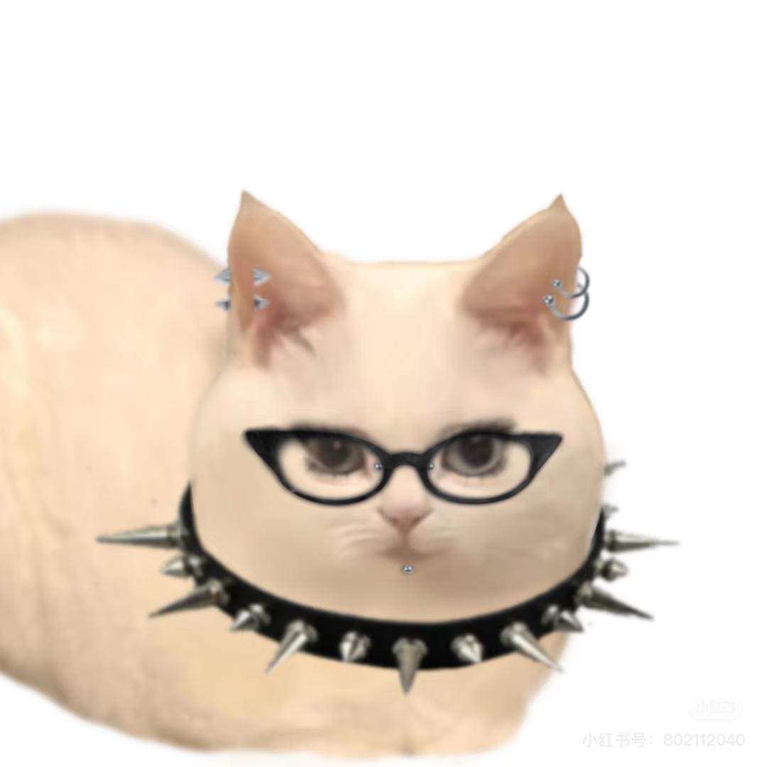 枳一
