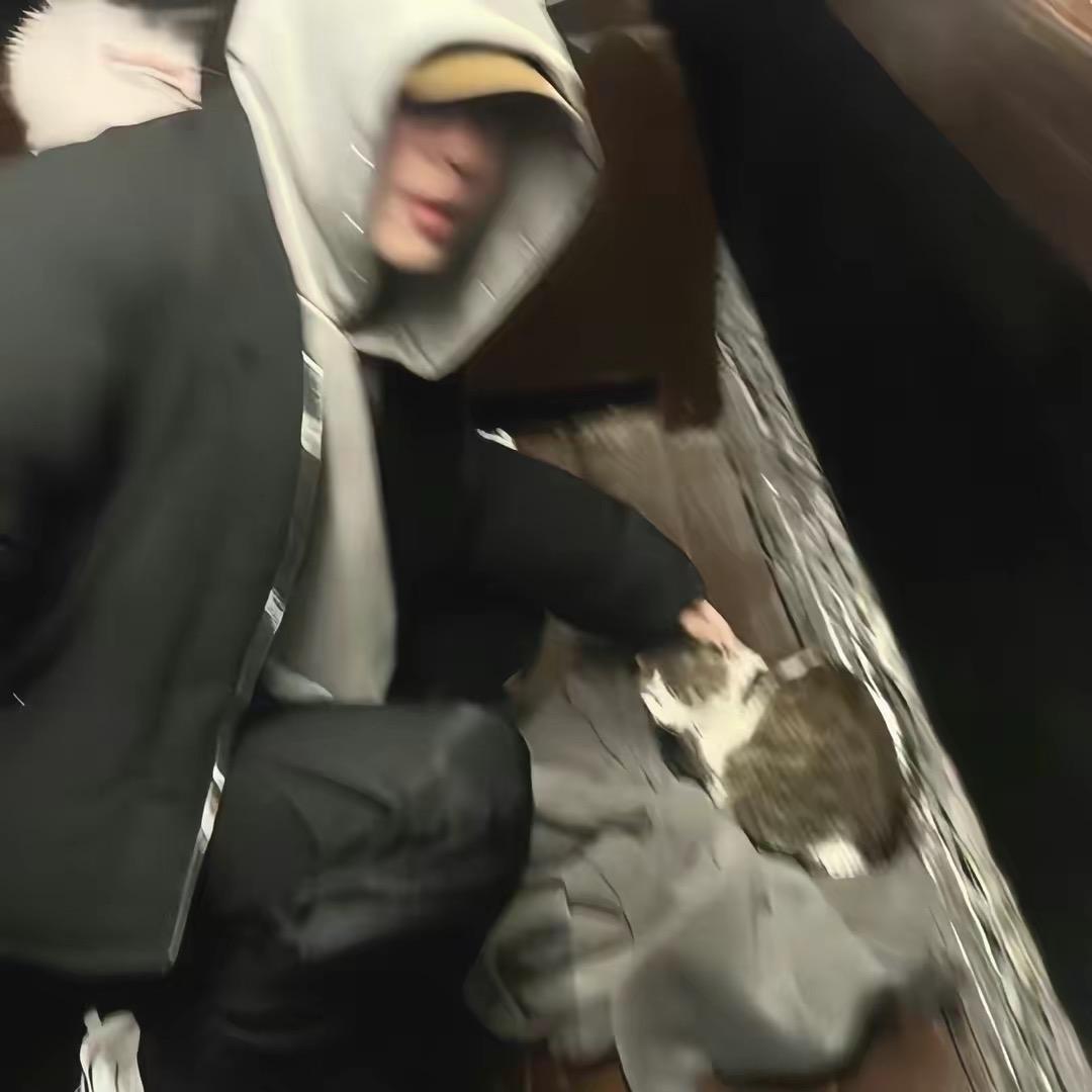 7dh_