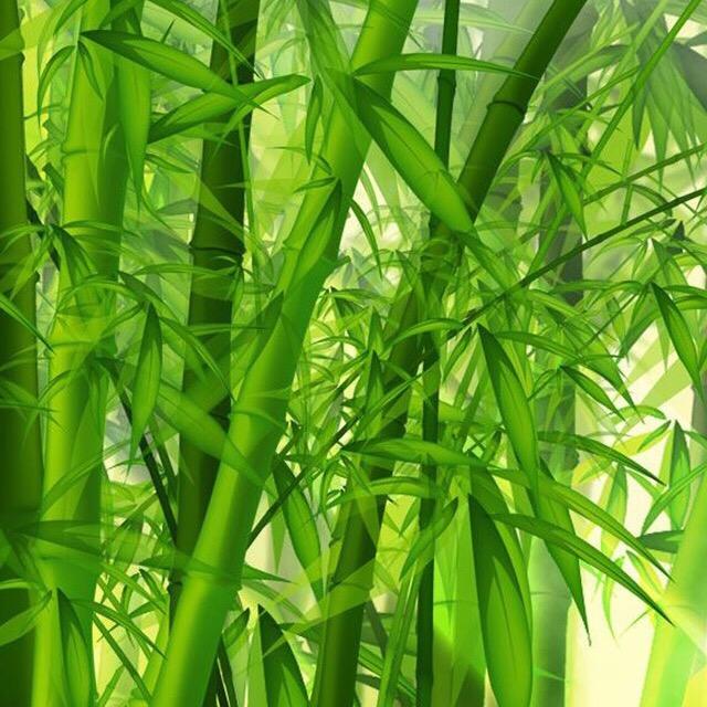 没有如果