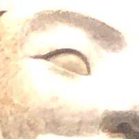 不要盗我的名字