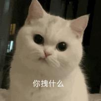 一只咩