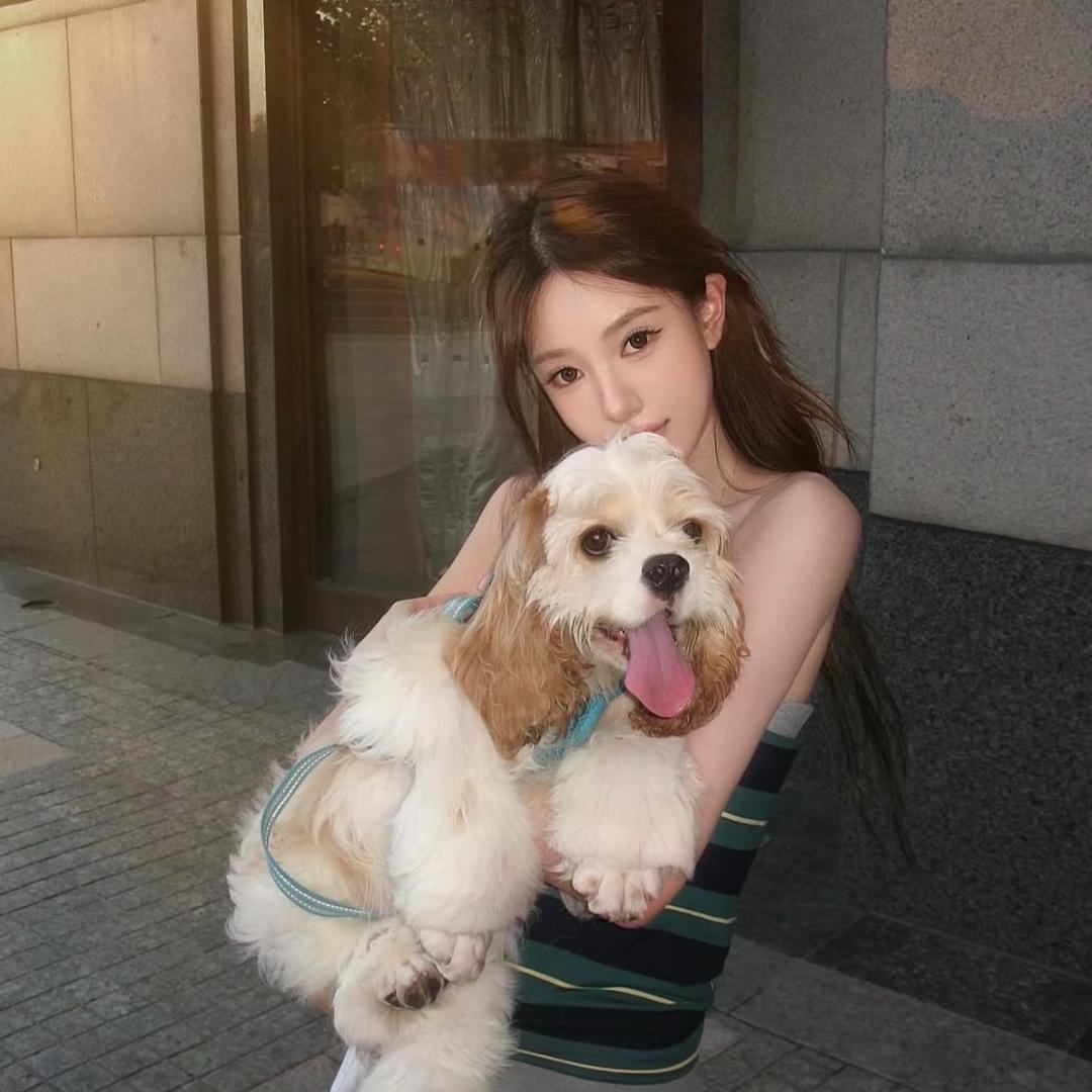 上 好 佳_