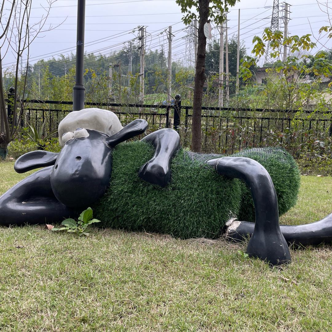 梅子姐
