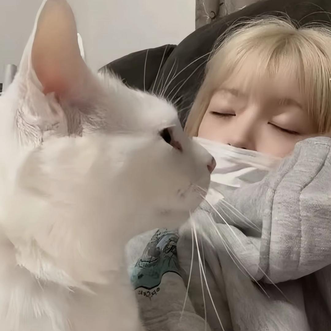 柒