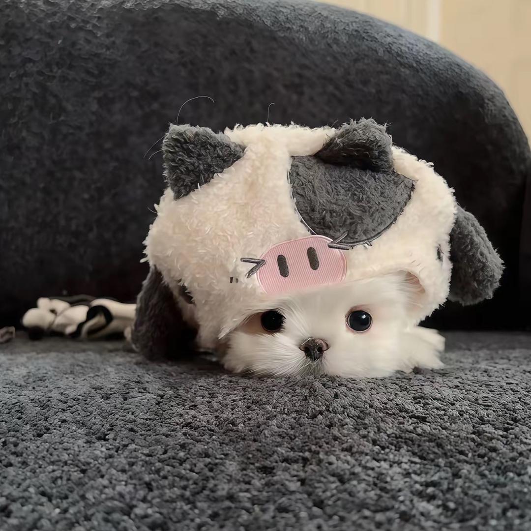 🐑肉串