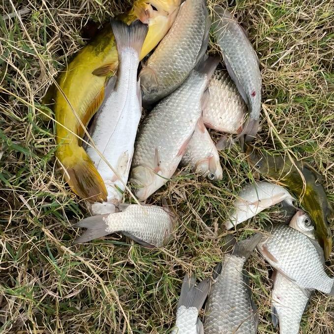 日行禧祃诺渔具