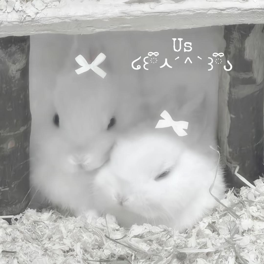 小O^