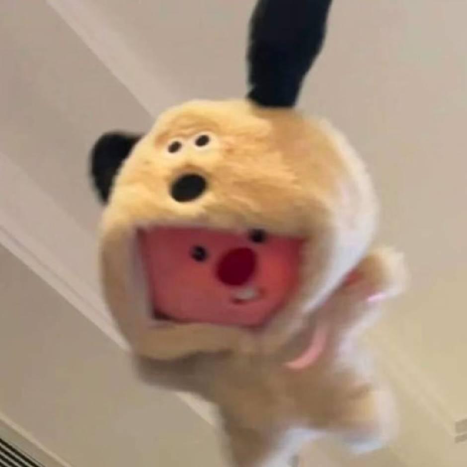 小徐