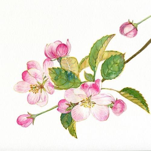 沁雅手作
