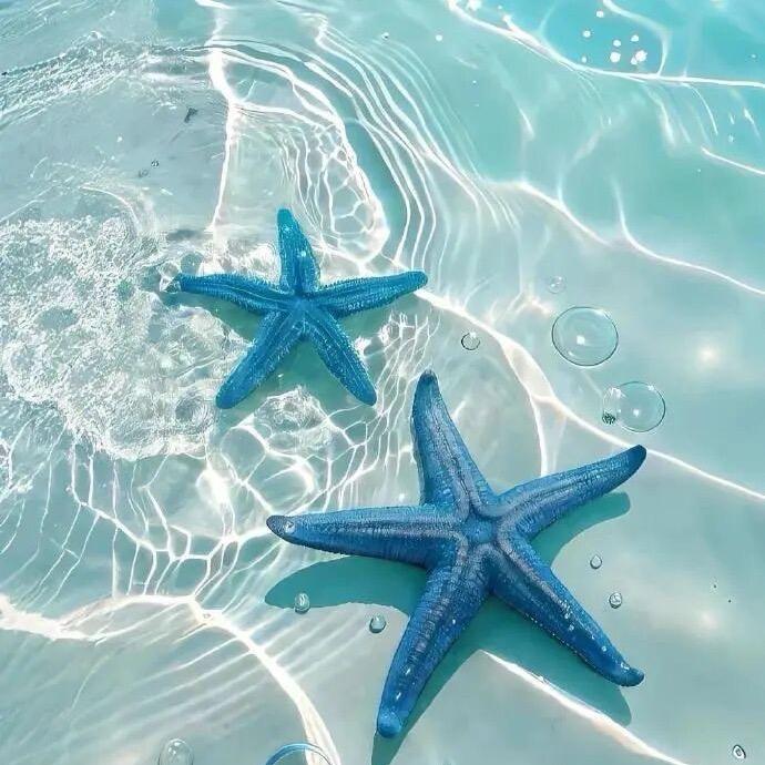 ✨藏进ｘｉｎｇｙｅ