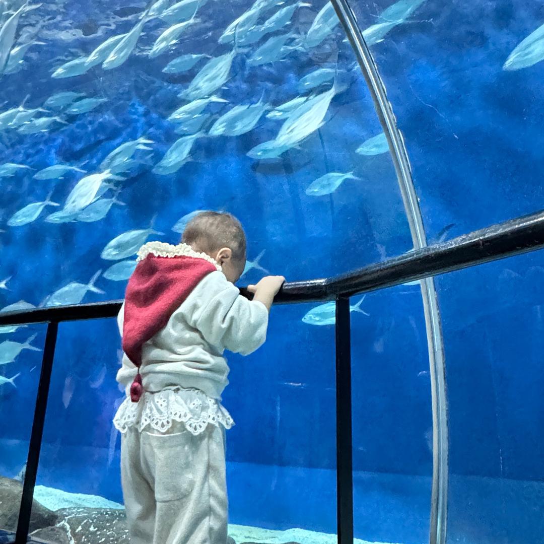 🌈豆豆宝贝儿🍼