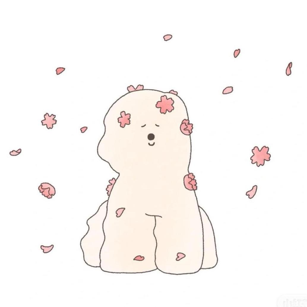 喵了个咪.