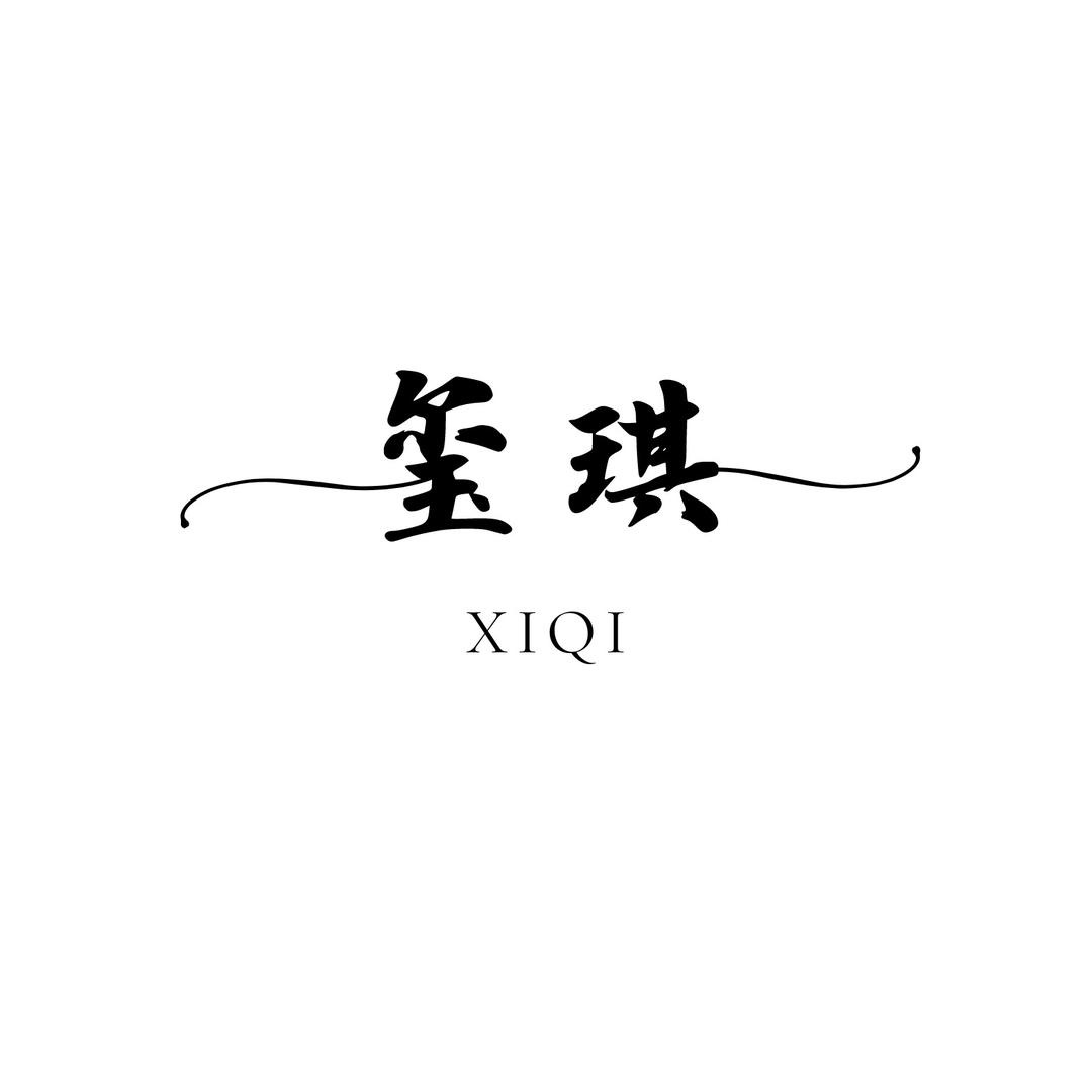 玺琪XIQI企业店