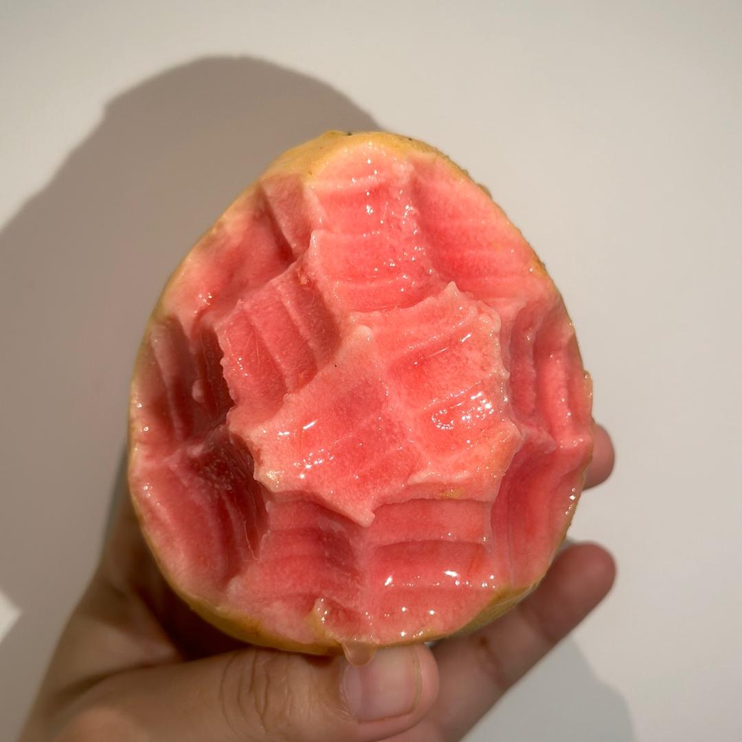 岭南有山货