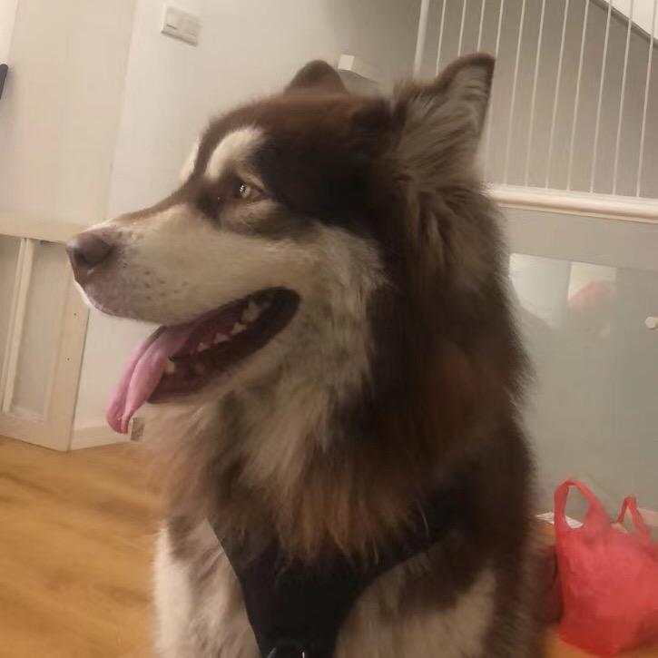 谁与长安半池华